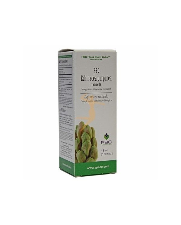 Echinacea Purpurea PSC 15 ml.