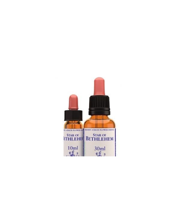 STAR OF BETHLEHEM 10 ml.