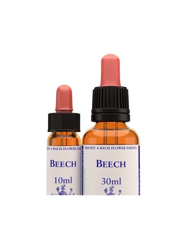 BEECH 10 ml.