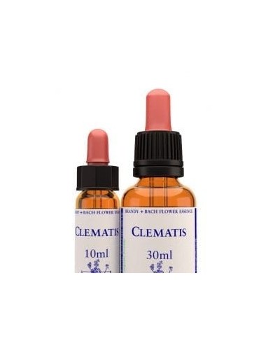 CLEMATIS 10 ml.